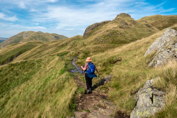 Vandrare i fj�llen